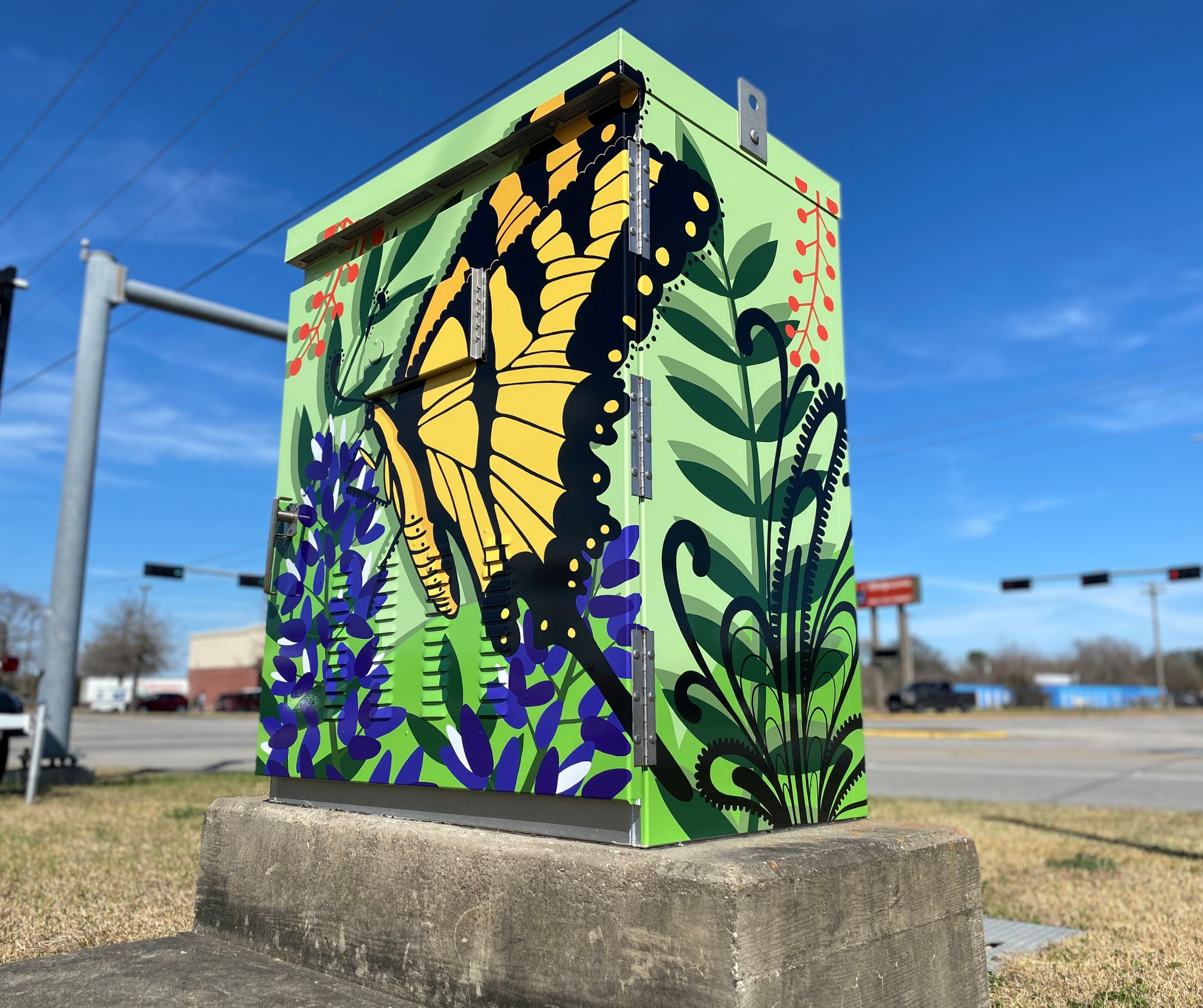 Traffic control box images  (1)