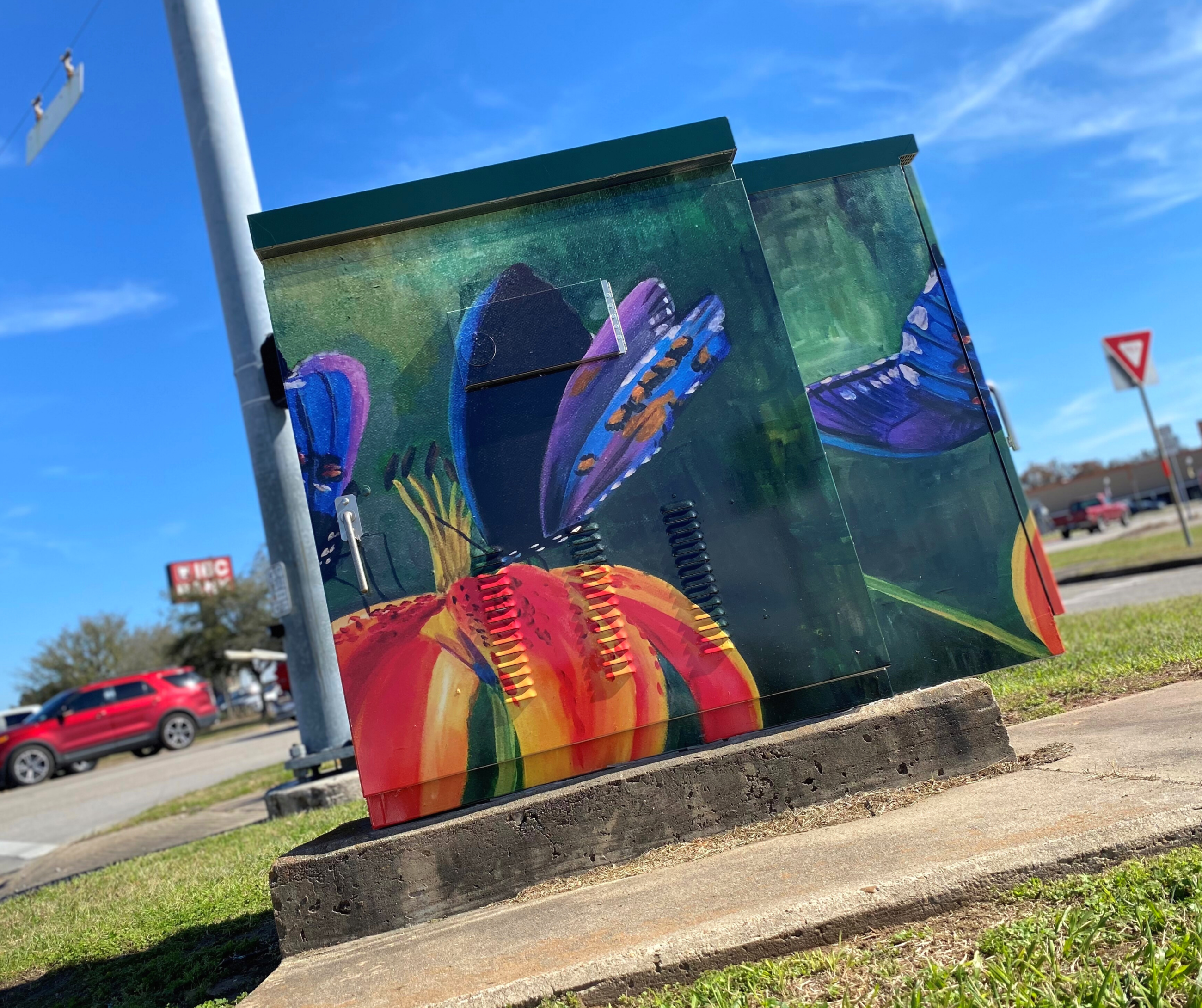 Traffic control box images  (2)